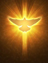 VANGELO DELLA DOMENICA 8 GIUGNO 2025